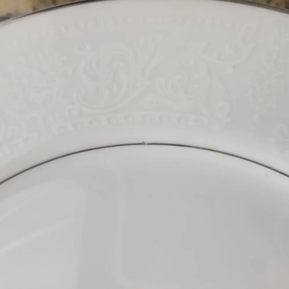 Vintage Lace Bouquet Salem China Company Etched Dinner Plate Platinum Trim Set 2
